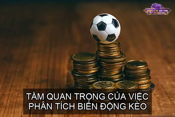 Bật Mí Mẹo Chuẩn Soi Kèo Dựa Vào Biến Động 3 Tầm Quan Trọng của Việc Phân Tích Biến Động Kèo