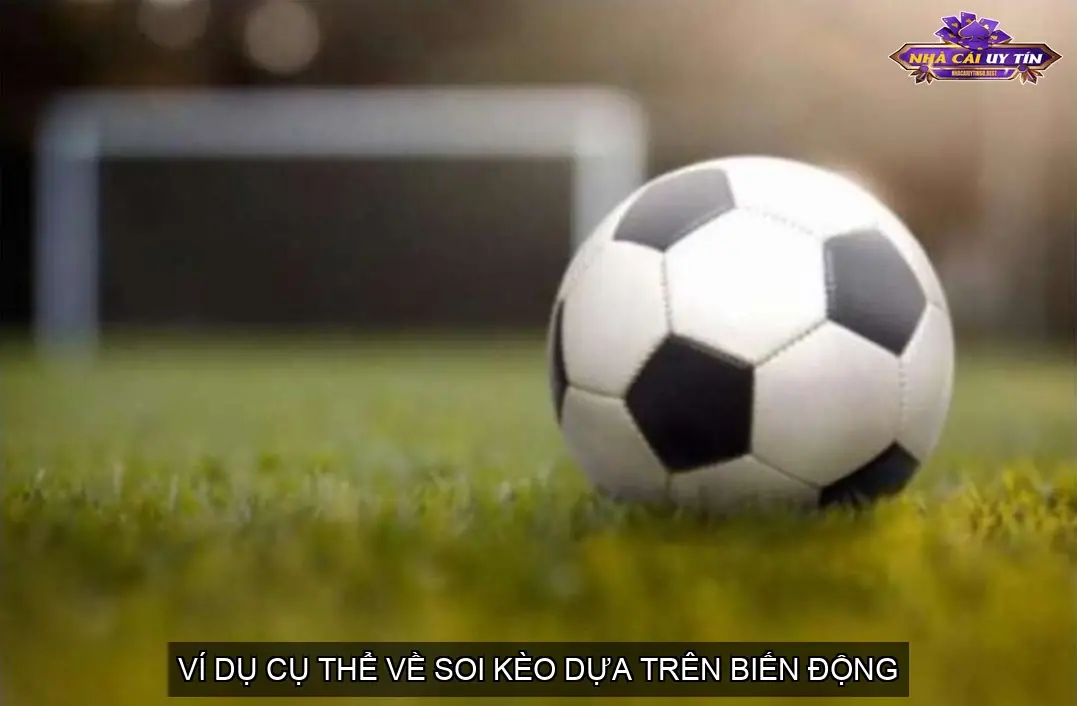 Bật Mí Mẹo Chuẩn Soi Kèo Dựa Vào Biến Động 5 Ví Dụ Cụ Thể Về Soi Kèo Dựa Trên Biến Động