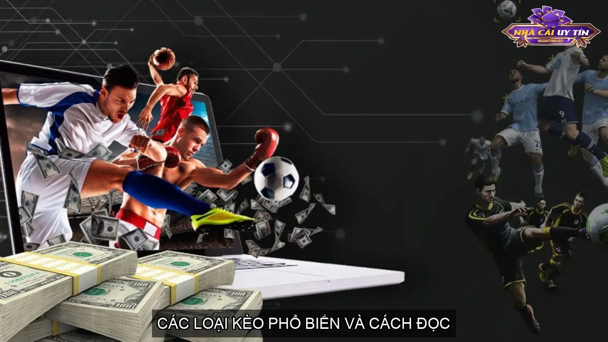 Các Loại Kèo Phổ Biến và Cách Đọc