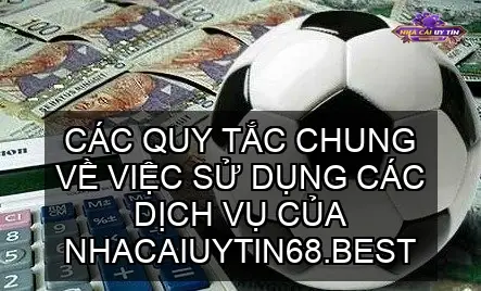 Các Quy Tắc Chung Về Việc Sử Dụng Các Dịch Vụ Của Nhacaiuytin68.best