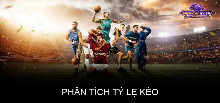 Phân Tích Tỷ Lệ Kèo