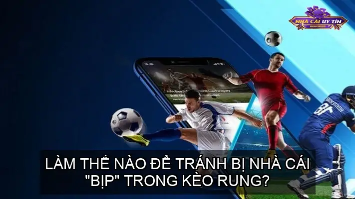 Làm thế nào để tránh bị nhà cái "bịp" trong kèo rung?