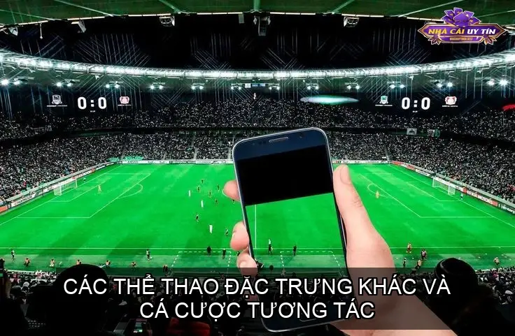Các Thể Thao Đặc Trưng Khác Và Cá Cược Tương Tác