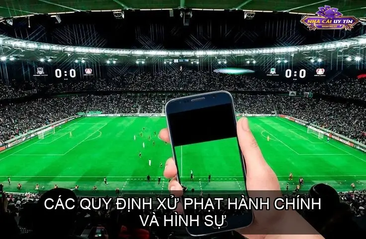 Các Quy Định Xử Phạt Hành Chính Và Hình Sự