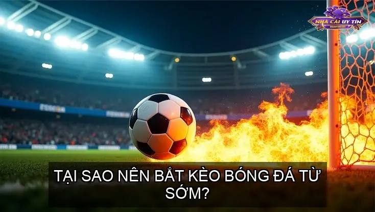 Có Thêm Thời Gian Phân Tích và Nghiên Cứu