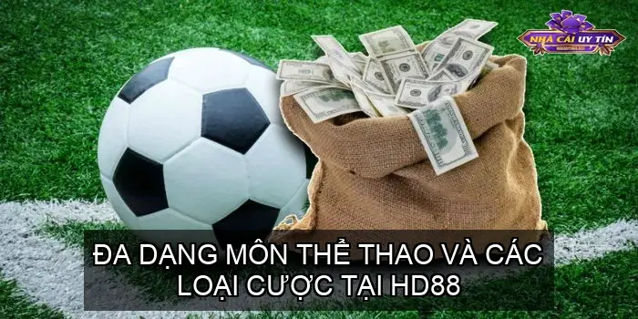 Đa dạng môn thể thao và các loại cược tại HD88
