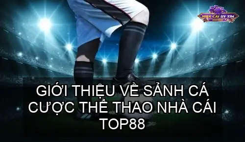 Đặc điểm nổi bật của TOP88