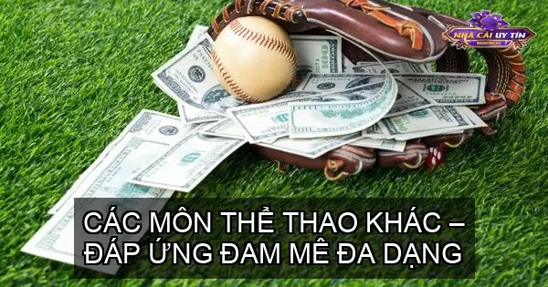 Các môn thể thao khác – Đáp ứng đam mê đa dạng