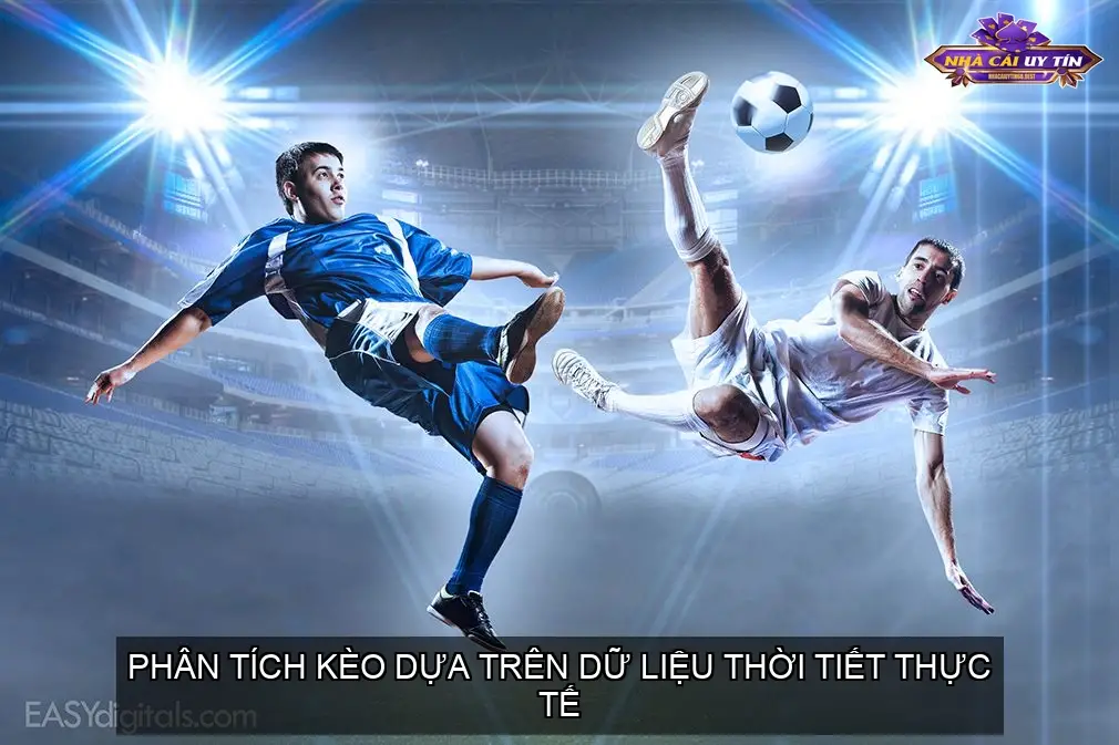 Nguồn Thông Tin Thời Tiết Uy Tín
