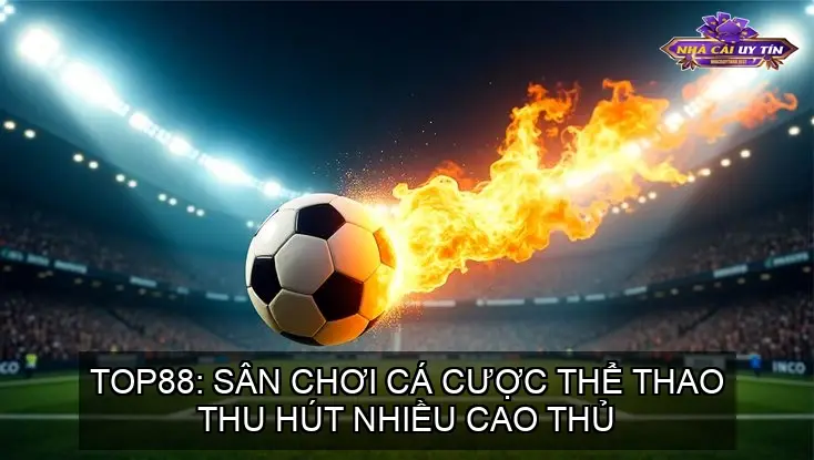 TOP88: Sân Chơi Cá Cược Thể Thao Thu Hút Nhiều Cao Thủ