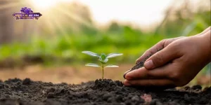 X8 gây quỹ phủ xanh đồi trọc