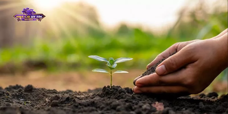 X8 gây quỹ phủ xanh đồi trọc - Nâng cao uy tín ngành game cá cược 1 X8 gây quỹ phủ xanh đồi trọc