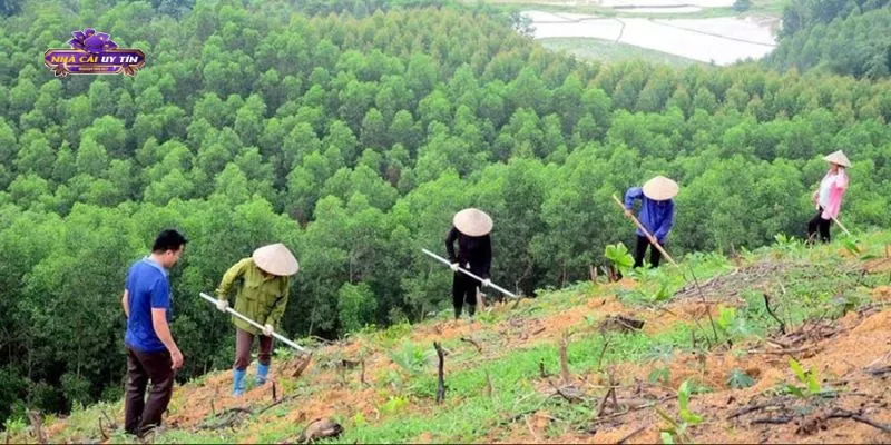 X8 gây quỹ phủ xanh đồi trọc - Nâng cao uy tín ngành game cá cược 2 X8 gây quỹ phủ xanh đồi trọc – Nâng cao uy tín ngành game cá cược