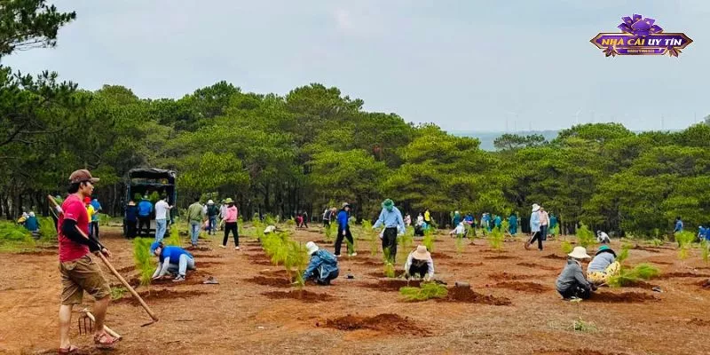 X8 gây quỹ phủ xanh đồi trọc - Nâng cao uy tín ngành game cá cược 3 X8 gây quỹ phủ xanh đồi trọc – Hành động cụ thể, kết quả thực tế